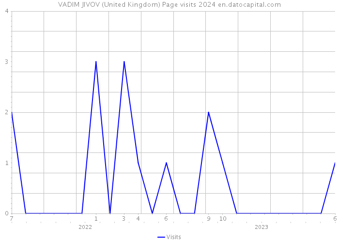 VADIM JIVOV (United Kingdom) Page visits 2024 