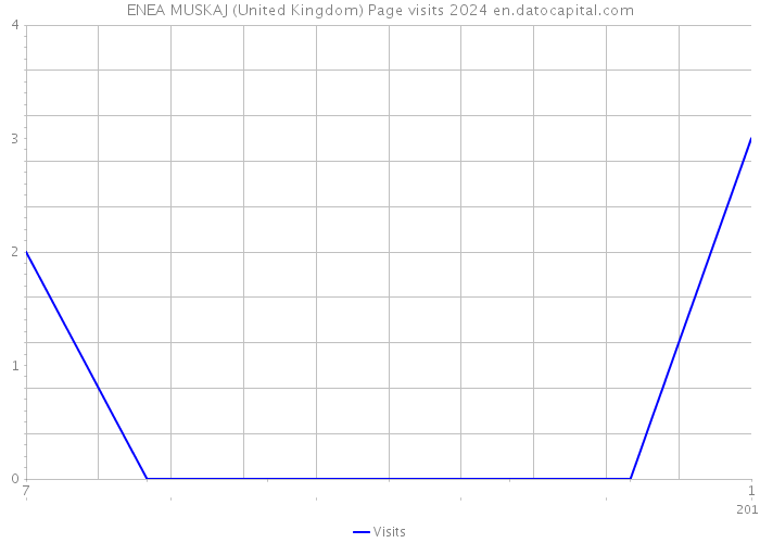 ENEA MUSKAJ (United Kingdom) Page visits 2024 