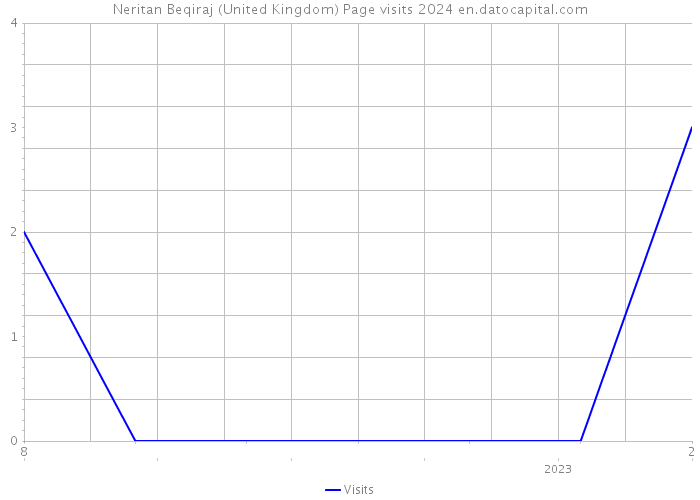 Neritan Beqiraj (United Kingdom) Page visits 2024 