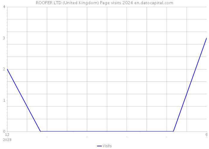 ROOFER LTD (United Kingdom) Page visits 2024 