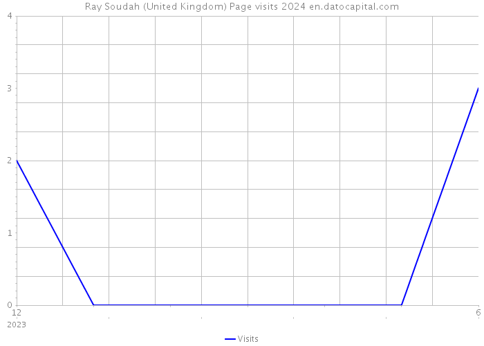Ray Soudah (United Kingdom) Page visits 2024 