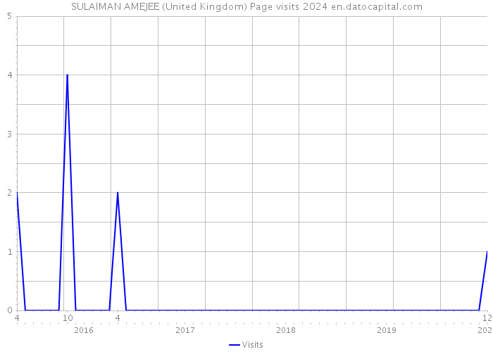 SULAIMAN AMEJEE (United Kingdom) Page visits 2024 