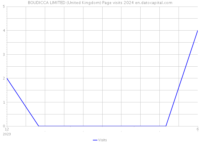 BOUDICCA LIMITED (United Kingdom) Page visits 2024 