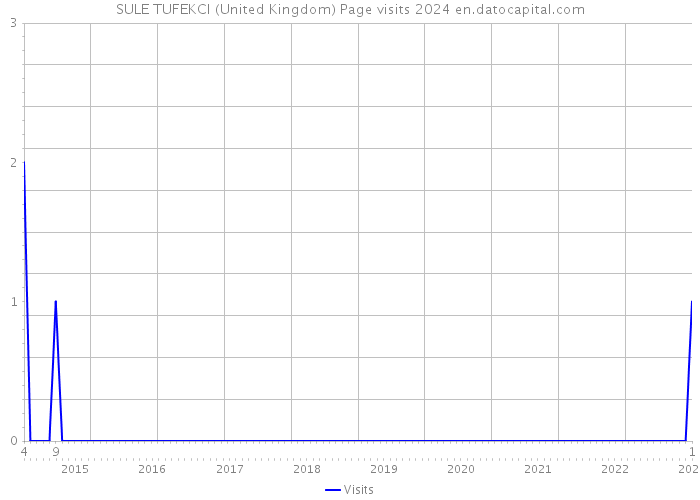 SULE TUFEKCI (United Kingdom) Page visits 2024 
