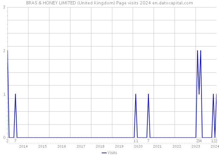 BRAS & HONEY LIMITED (United Kingdom) Page visits 2024 