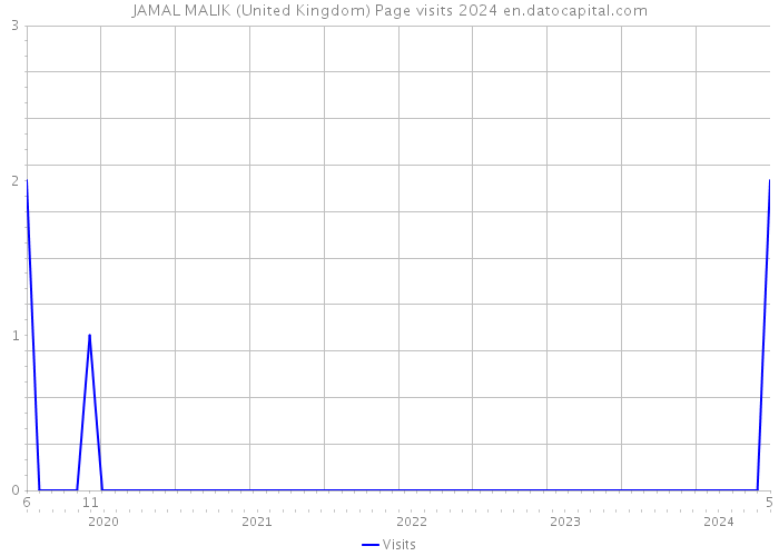 JAMAL MALIK (United Kingdom) Page visits 2024 