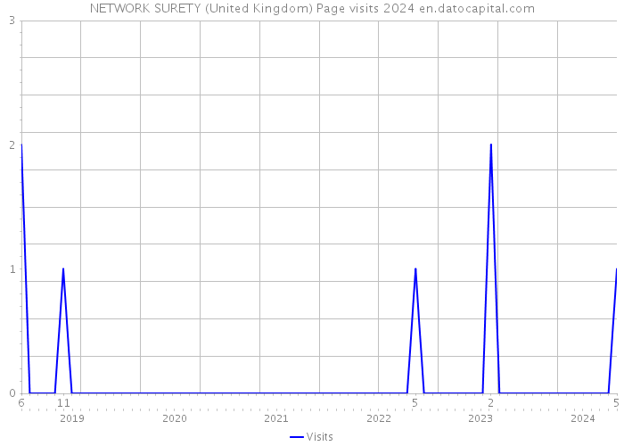 NETWORK SURETY (United Kingdom) Page visits 2024 