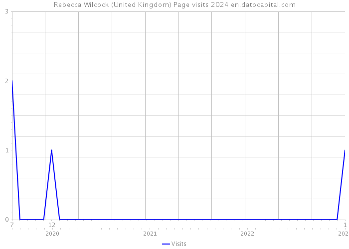 Rebecca Wilcock (United Kingdom) Page visits 2024 