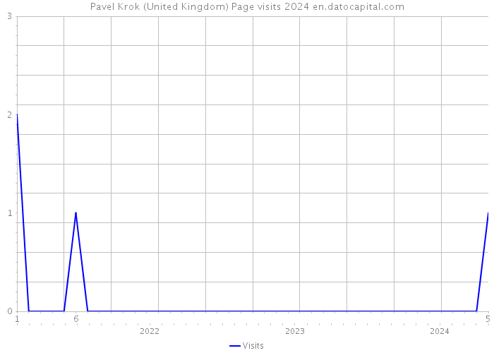 Pavel Krok (United Kingdom) Page visits 2024 