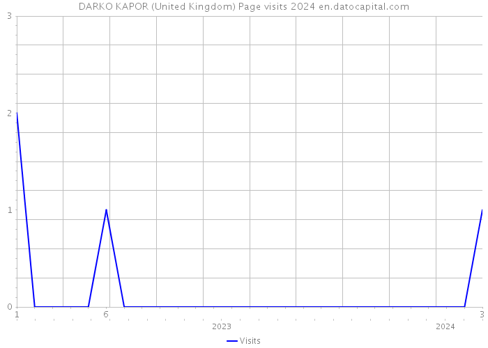 DARKO KAPOR (United Kingdom) Page visits 2024 