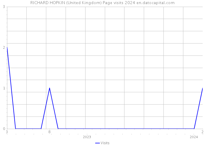 RICHARD HOPKIN (United Kingdom) Page visits 2024 