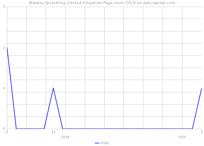 Bradley Sprackling (United Kingdom) Page visits 2024 