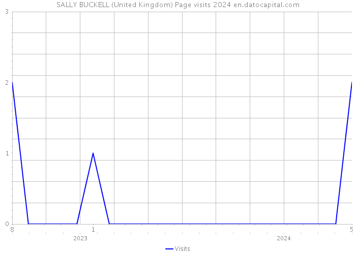 SALLY BUCKELL (United Kingdom) Page visits 2024 