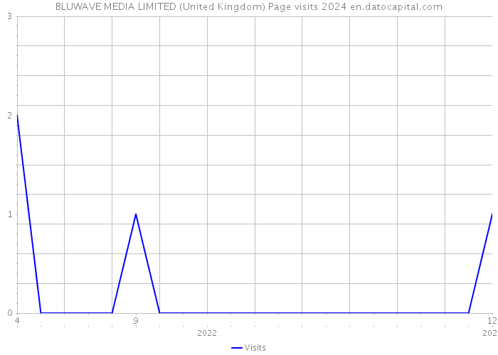 BLUWAVE MEDIA LIMITED (United Kingdom) Page visits 2024 