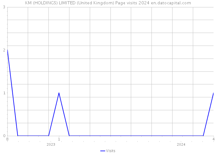 KM (HOLDINGS) LIMITED (United Kingdom) Page visits 2024 
