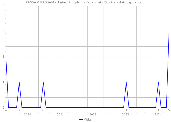 KASSAM KASSAM (United Kingdom) Page visits 2024 