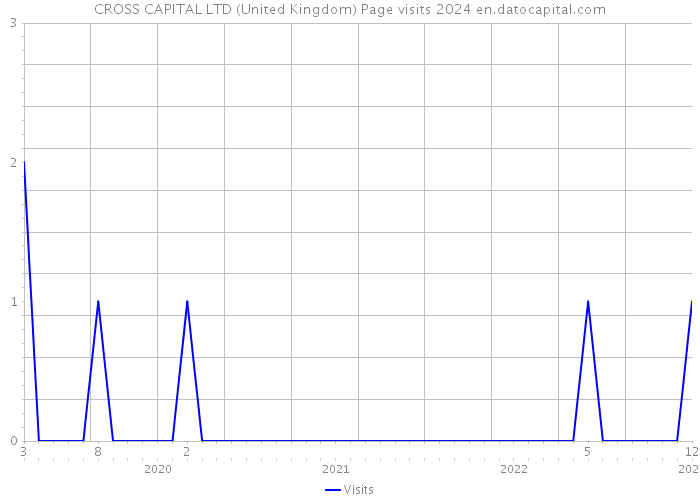 CROSS CAPITAL LTD (United Kingdom) Page visits 2024 