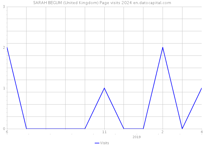 SARAH BEGUM (United Kingdom) Page visits 2024 