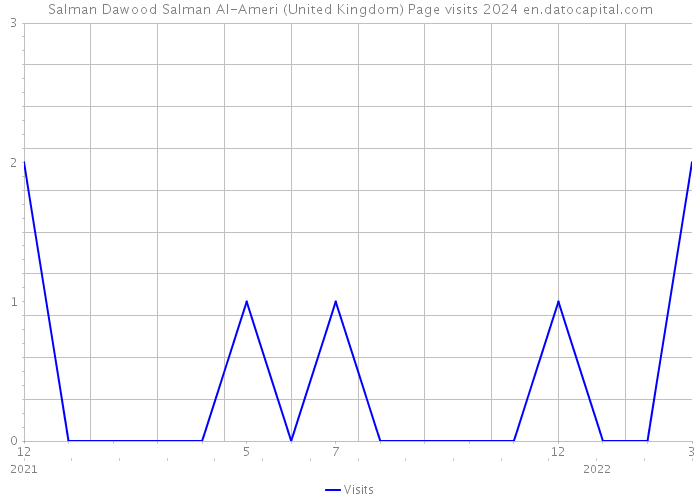 Salman Dawood Salman Al-Ameri (United Kingdom) Page visits 2024 