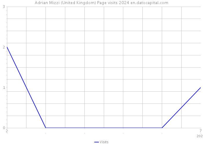 Adrian Mizzi (United Kingdom) Page visits 2024 