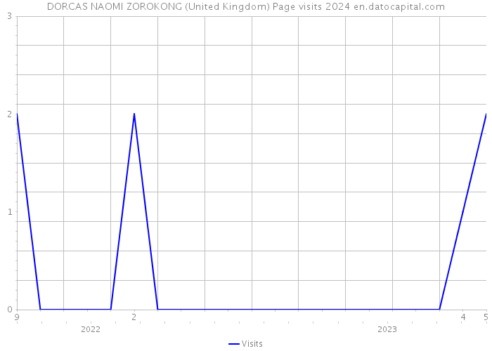 DORCAS NAOMI ZOROKONG (United Kingdom) Page visits 2024 