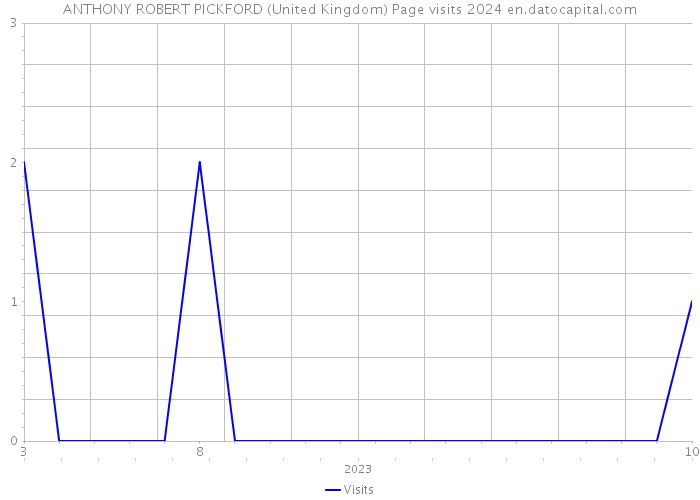 ANTHONY ROBERT PICKFORD (United Kingdom) Page visits 2024 