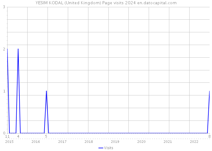 YESIM KODAL (United Kingdom) Page visits 2024 
