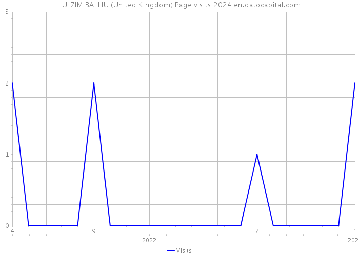 LULZIM BALLIU (United Kingdom) Page visits 2024 