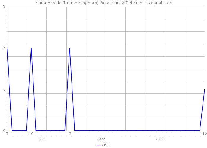 Zeina Haoula (United Kingdom) Page visits 2024 