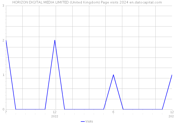 HORIZON DIGITAL MEDIA LIMITED (United Kingdom) Page visits 2024 