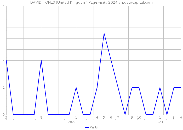 DAVID HONES (United Kingdom) Page visits 2024 