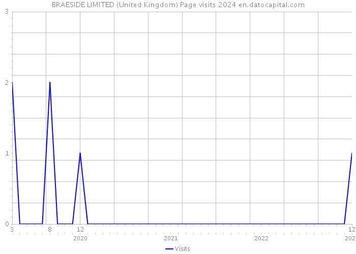 BRAESIDE LIMITED (United Kingdom) Page visits 2024 