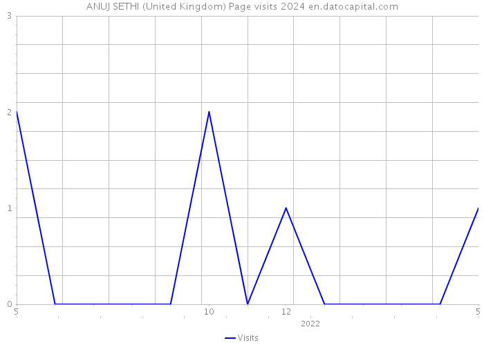 ANUJ SETHI (United Kingdom) Page visits 2024 