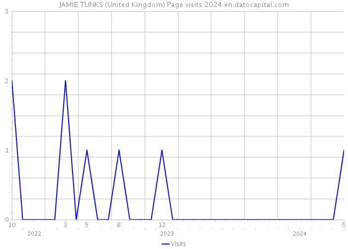 JAMIE TUNKS (United Kingdom) Page visits 2024 