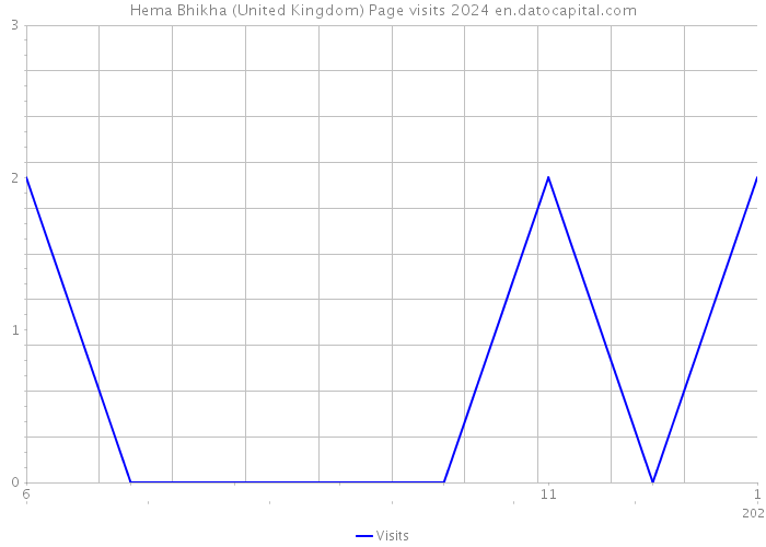 Hema Bhikha (United Kingdom) Page visits 2024 