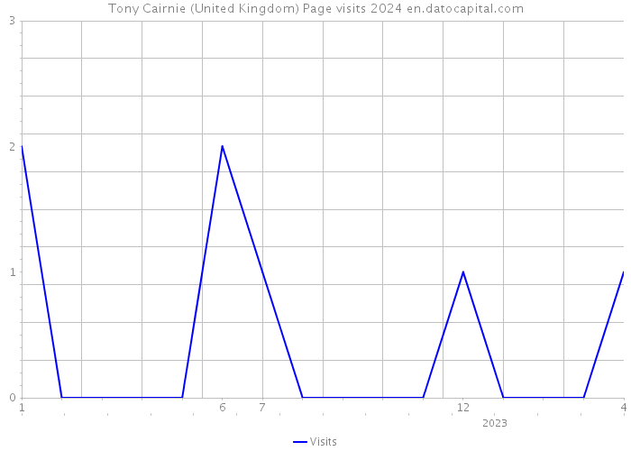 Tony Cairnie (United Kingdom) Page visits 2024 