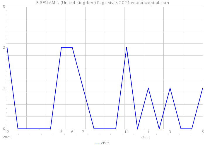 BIREN AMIN (United Kingdom) Page visits 2024 
