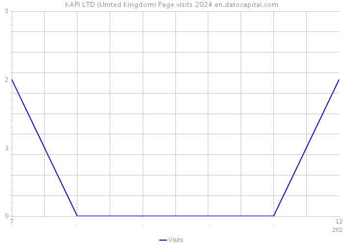 KAPI LTD (United Kingdom) Page visits 2024 