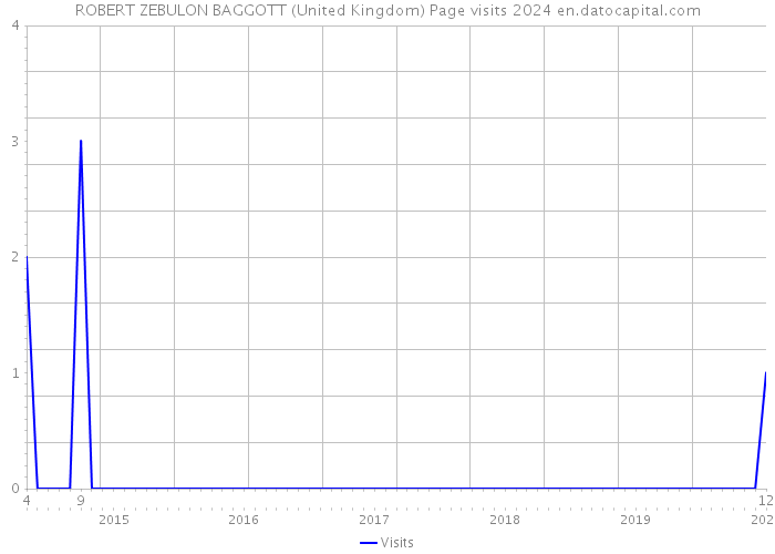 ROBERT ZEBULON BAGGOTT (United Kingdom) Page visits 2024 