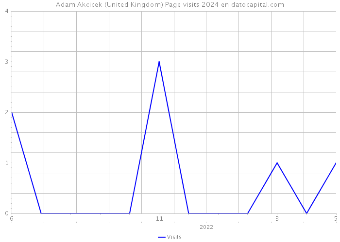 Adam Akcicek (United Kingdom) Page visits 2024 