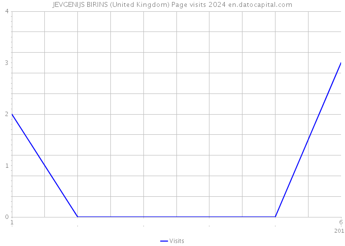 JEVGENIJS BIRINS (United Kingdom) Page visits 2024 