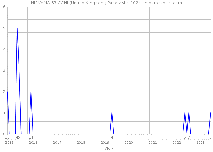 NIRVANO BRICCHI (United Kingdom) Page visits 2024 