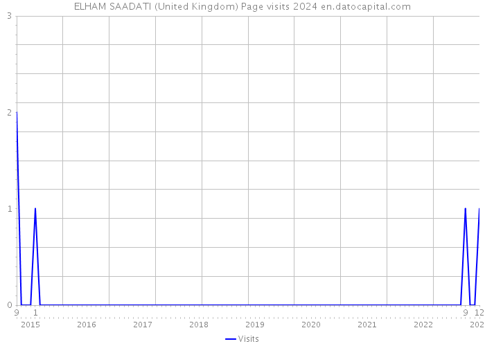 ELHAM SAADATI (United Kingdom) Page visits 2024 