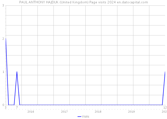 PAUL ANTHONY HAJDUK (United Kingdom) Page visits 2024 