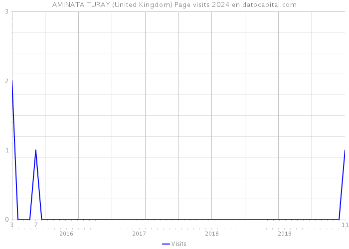 AMINATA TURAY (United Kingdom) Page visits 2024 