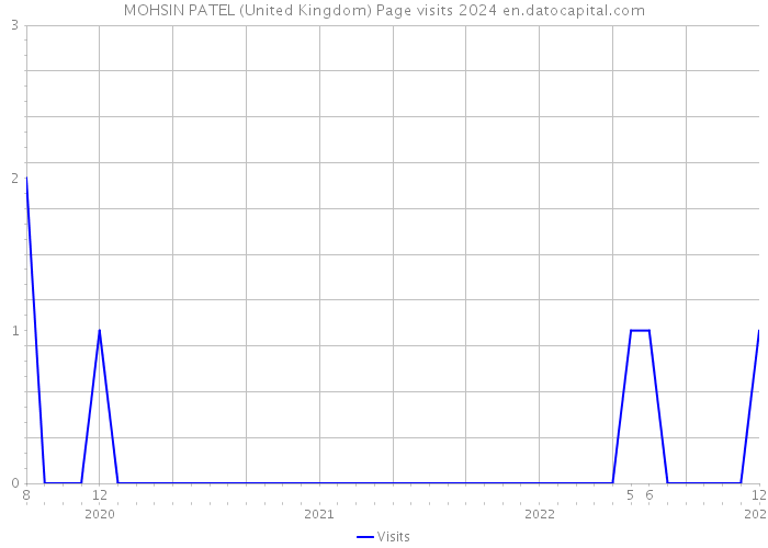MOHSIN PATEL (United Kingdom) Page visits 2024 