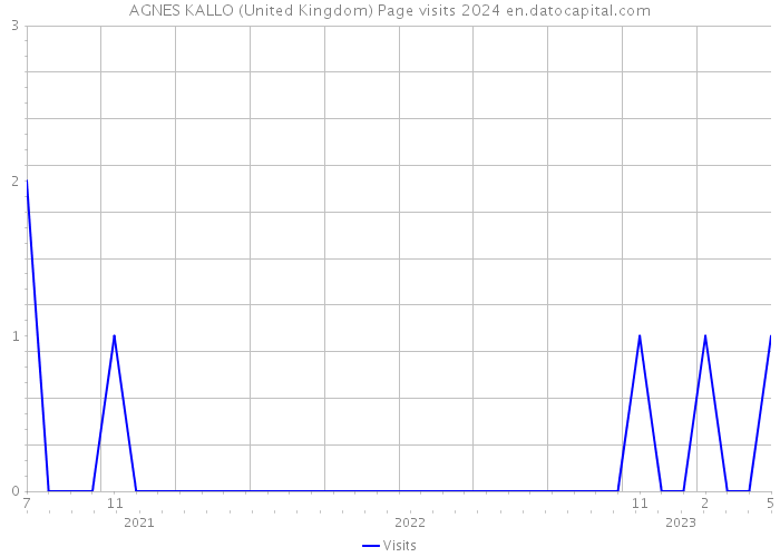 AGNES KALLO (United Kingdom) Page visits 2024 