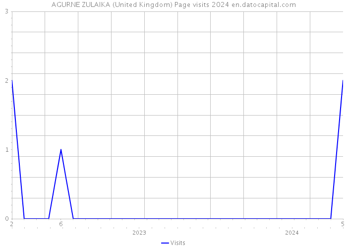 AGURNE ZULAIKA (United Kingdom) Page visits 2024 