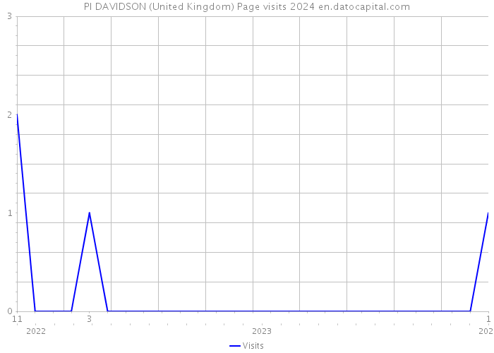 PI DAVIDSON (United Kingdom) Page visits 2024 