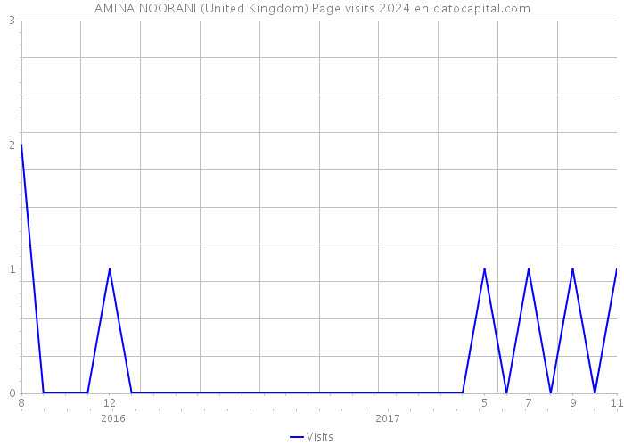 AMINA NOORANI (United Kingdom) Page visits 2024 